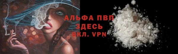 ПСИЛОЦИБИНОВЫЕ ГРИБЫ Сосновоборск