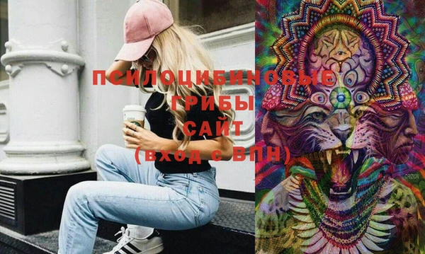 ПСИЛОЦИБИНОВЫЕ ГРИБЫ Сосновоборск
