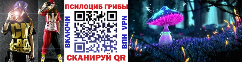 Купить закладки  Новокузнецк  Галлюциногенные грибы Cubensis 