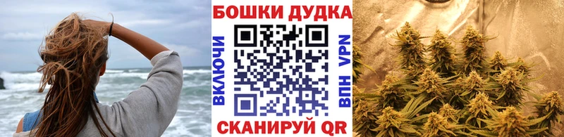 Купить закладки  Новокузнецк  Марихуана планчик 